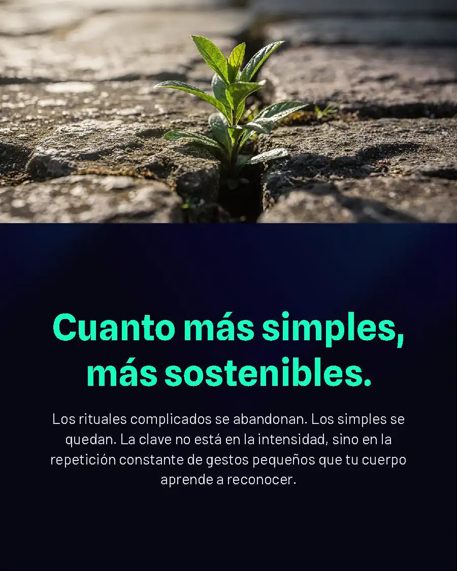 Guía Mobile: Rutinas antiestrés (Gestión del Estrés - Parte 5)